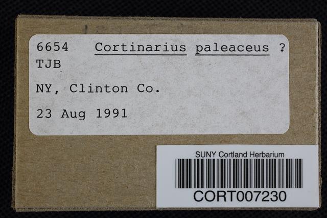 Cortinarius paleaceus image