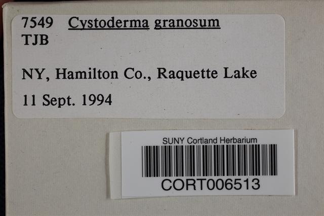 Cystoderma granosum image