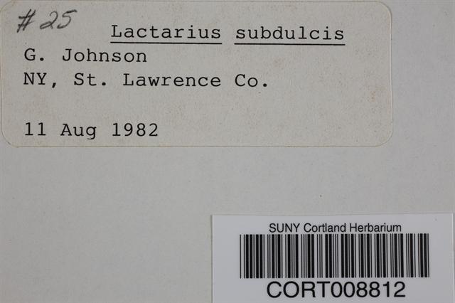 Lactarius subdulcis image