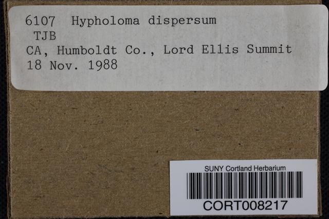 Hypholoma dispersum image