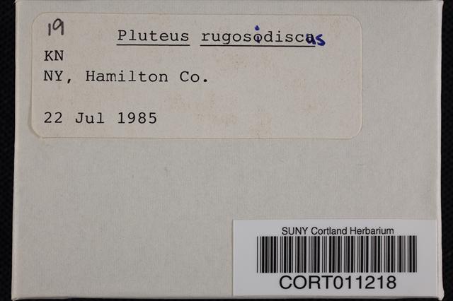Pluteus rugosidiscus image