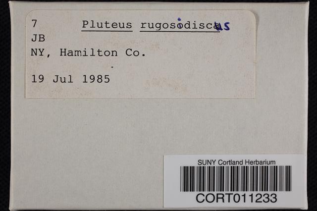 Pluteus rugosidiscus image