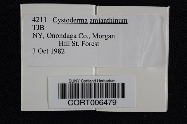 Cystoderma intermedium image