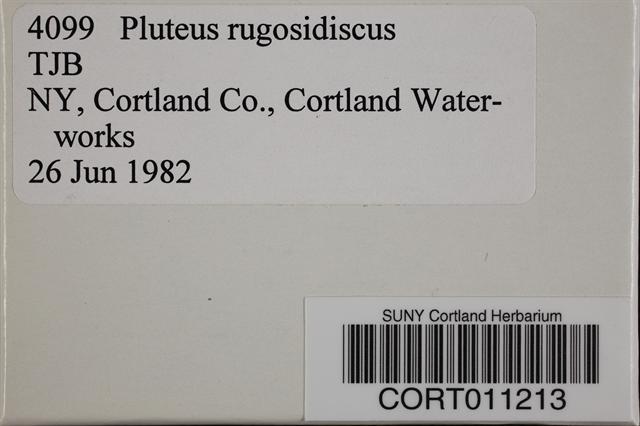 Pluteus rugosidiscus image