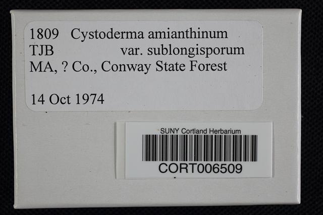 Cystoderma intermedium image