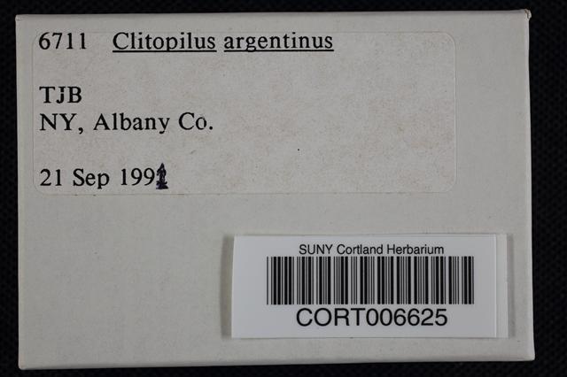 Clitopilus argentinus image
