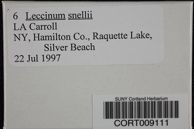Leccinum snellii image