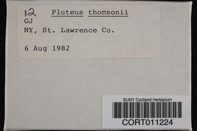 Pluteus thomsonii image