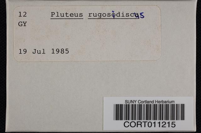 Pluteus rugosidiscus image