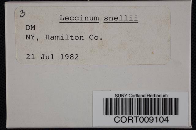 Leccinum snellii image