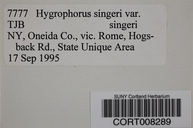 Hygrophorus singeri image